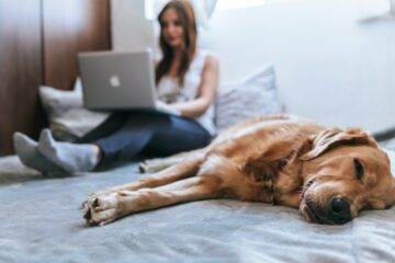 remote workers with dog